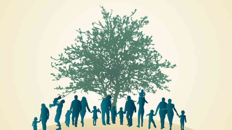 Tree with Different Silhouettes of People in Families in Front of It Image